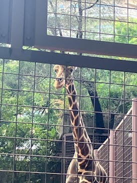 恩賜上野動物園に投稿された画像（2025/8/3）