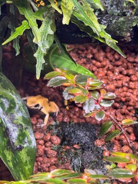 AQUARIUM × ART　atoa×KOBEとんぼ玉ミュージアムに投稿された画像（2025/8/3）