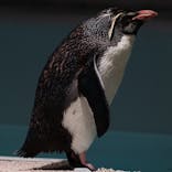 AOAO SAPPOROに投稿された画像（2025/8/3）