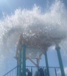 日本モンキーパークに投稿された画像（2025/8/3）