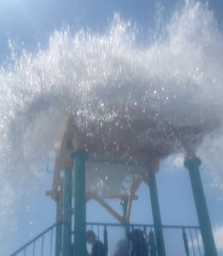 日本モンキーパークに投稿された画像（2025/8/3）