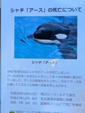 名古屋港水族館に投稿された画像（2025/8/3）