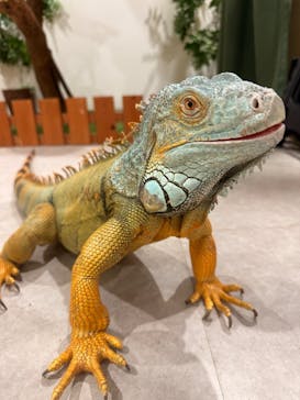 アニタッチアクアシティお台場に投稿された画像（2025/8/3）