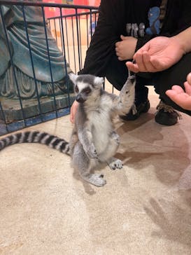 アニタッチアクアシティお台場に投稿された画像（2025/8/3）