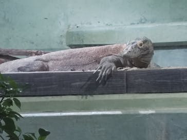 名古屋市東山動植物園に投稿された画像（2025/8/3）