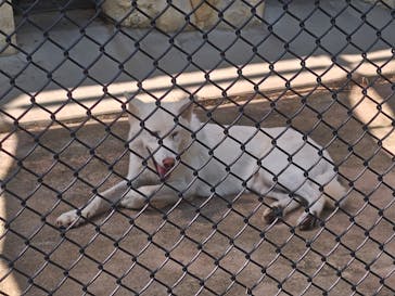 名古屋市東山動植物園に投稿された画像（2025/8/3）