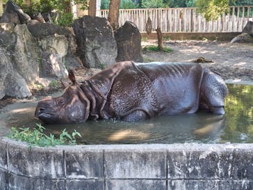名古屋市東山動植物園に投稿された画像（2025/8/3）
