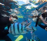 沖縄マリンサービス碧に投稿された画像（2025/8/3）