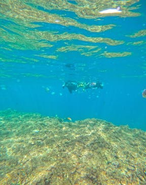 武藤潜水に投稿された画像（2025/8/3）