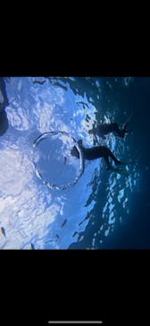 武藤潜水に投稿された画像（2025/8/3）