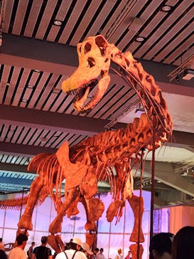 巨大恐竜展2025に投稿された画像（2025/8/3）