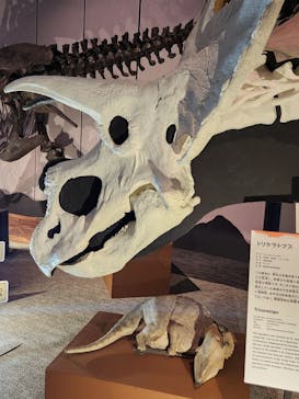 巨大恐竜展2025に投稿された画像（2025/8/3）