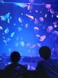 名古屋港水族館に投稿された画像（2025/8/3）