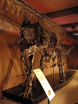巨大恐竜展2025に投稿された画像（2025/8/3）
