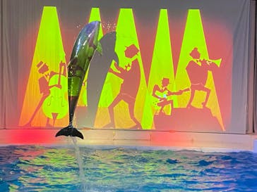 アクアワールド茨城県大洗水族館に投稿された画像（2025/8/3）