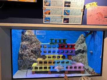竹島水族館に投稿された画像（2025/8/3）