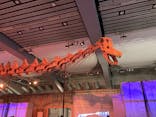 巨大恐竜展2025に投稿された画像（2025/8/3）