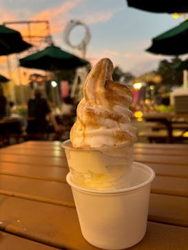 西武園ゆうえんちに投稿された画像（2025/8/3）