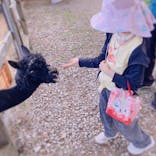 八ヶ岳アルパカ牧場に投稿された画像（2025/8/3）