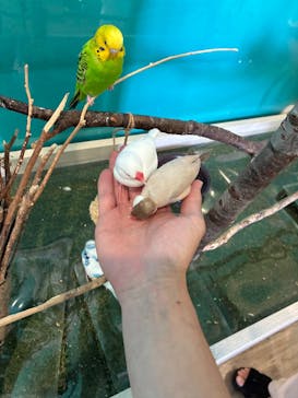 Moff animal cafe iias つくば店に投稿された画像（2025/8/3）