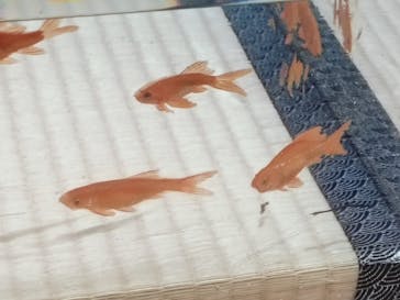 あべのハルカス美術館に投稿された画像（2025/8/3）