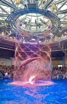 マクセル アクアパーク品川に投稿された画像（2025/8/3）