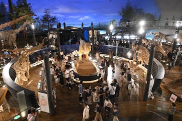 福井県立恐竜博物館に投稿された画像（2025/8/3）