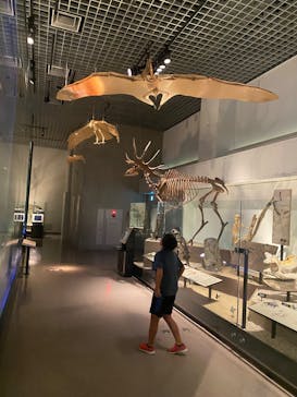 国立科学博物館に投稿された画像（2025/8/3）