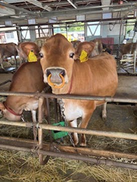 牧歌の里に投稿された画像（2025/8/3）