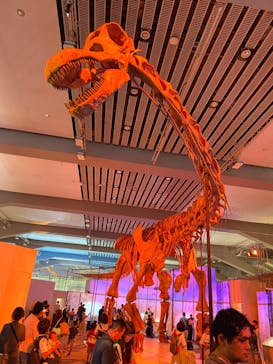 巨大恐竜展2025に投稿された画像（2025/8/3）