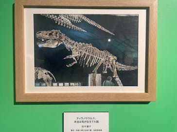 プレバト才能アリ展に投稿された画像（2025/8/3）