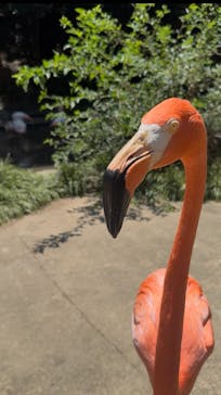 長崎バイオパークに投稿された画像（2025/8/3）