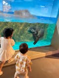 しながわ水族館に投稿された画像（2025/8/3）