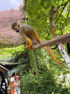 長崎バイオパークに投稿された画像（2025/8/3）