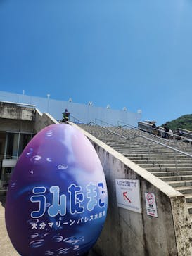 大分マリーンパレス水族館 「うみたまご」に投稿された画像（2025/8/3）