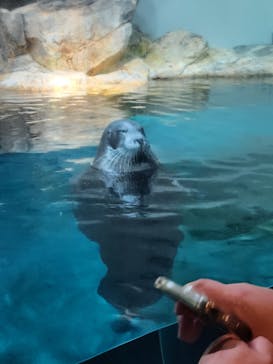 大分マリーンパレス水族館 「うみたまご」に投稿された画像（2025/8/3）