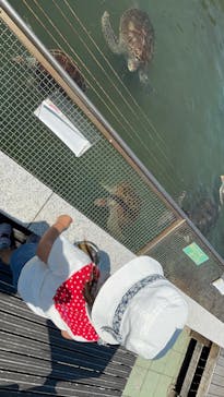 南知多ビーチランド＆南知多おもちゃ王国に投稿された画像（2025/8/3）