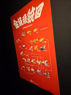 NARA IKIMONO MUSEUMに投稿された画像（2025/8/3）