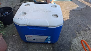 しらこばと水上公園（埼玉県公園緑地協会）に投稿された画像（2025/8/3）