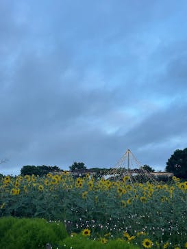 せんだい農業園芸センター　みどりの杜に投稿された画像（2025/8/3）