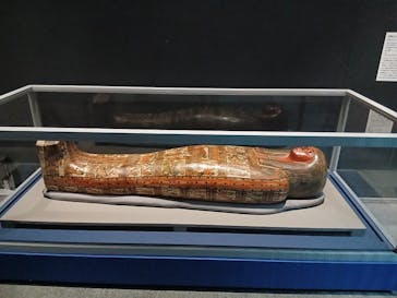 ブルックリン博物館所蔵　特別展　古代エジプト（豊田会場）に投稿された画像（2025/8/3）