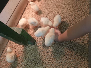 Moff animal world BIGHOPガーデンモール印西店に投稿された画像（2025/8/3）