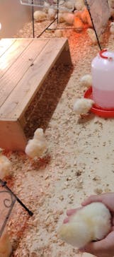 アニタッチ 東京ドームシティに投稿された画像（2025/8/3）