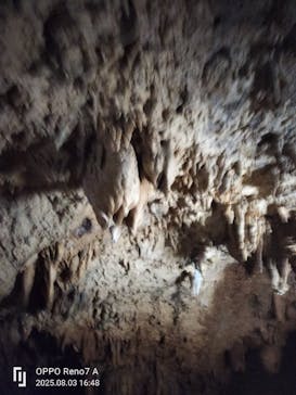 石垣島鍾乳洞に投稿された画像（2025/8/3）