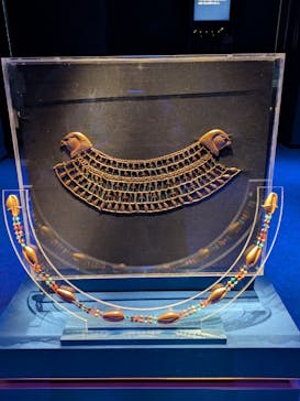 ACN ラムセス大王展 ファラオたちの黄金に投稿された画像（2025/8/3）