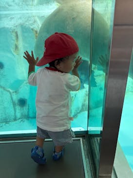 南知多ビーチランド＆南知多おもちゃ王国に投稿された画像（2025/8/3）