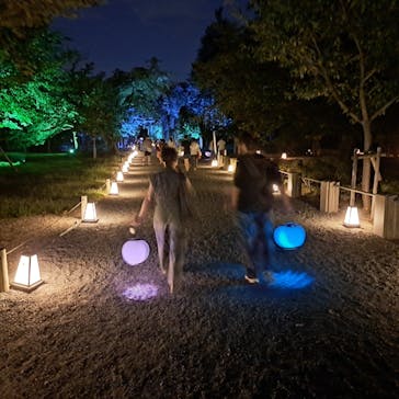 NAKED meets 二条城 2025 観月に投稿された画像（2025/8/3）