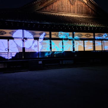 NAKED meets 二条城 2025 観月に投稿された画像（2025/8/3）