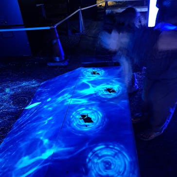 NAKED meets 二条城 2025 観月に投稿された画像（2025/8/3）