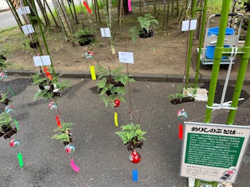 江戸東京たてもの園に投稿された画像（2025/8/3）